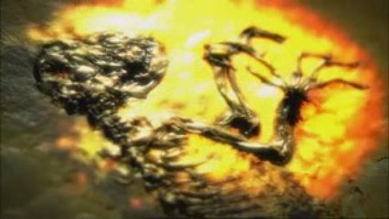 3/3 IDA, sur la Piste de nos Ancêtres