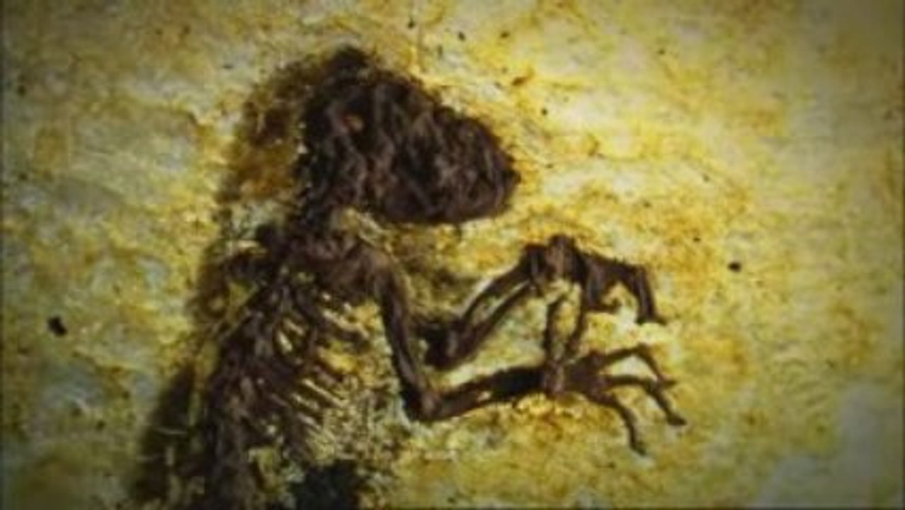 2/3 IDA, sur la Piste de nos Ancêtres