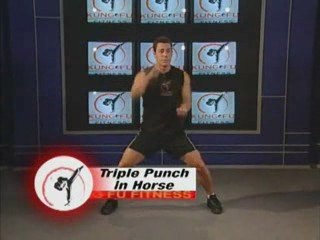 Kung Fu Fitness Workout Business Model for Trainers