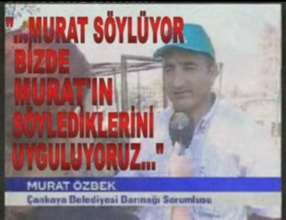 CANKAYA KOPEK KATLIAMLARI...