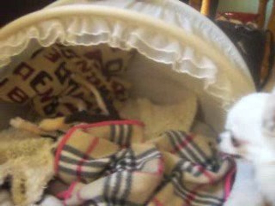 Baby Love s'amuse !