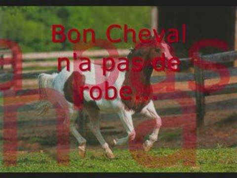 Proverbes et Citations du Cheval...