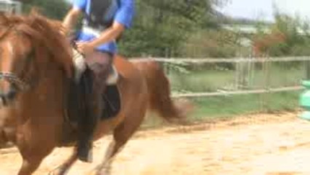 cours obstacle avec Stéphanie