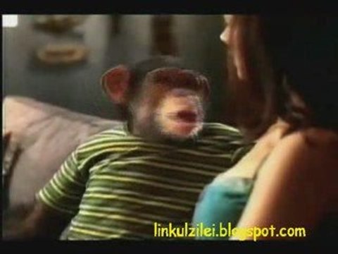 Gigi Becali Europarlamentar