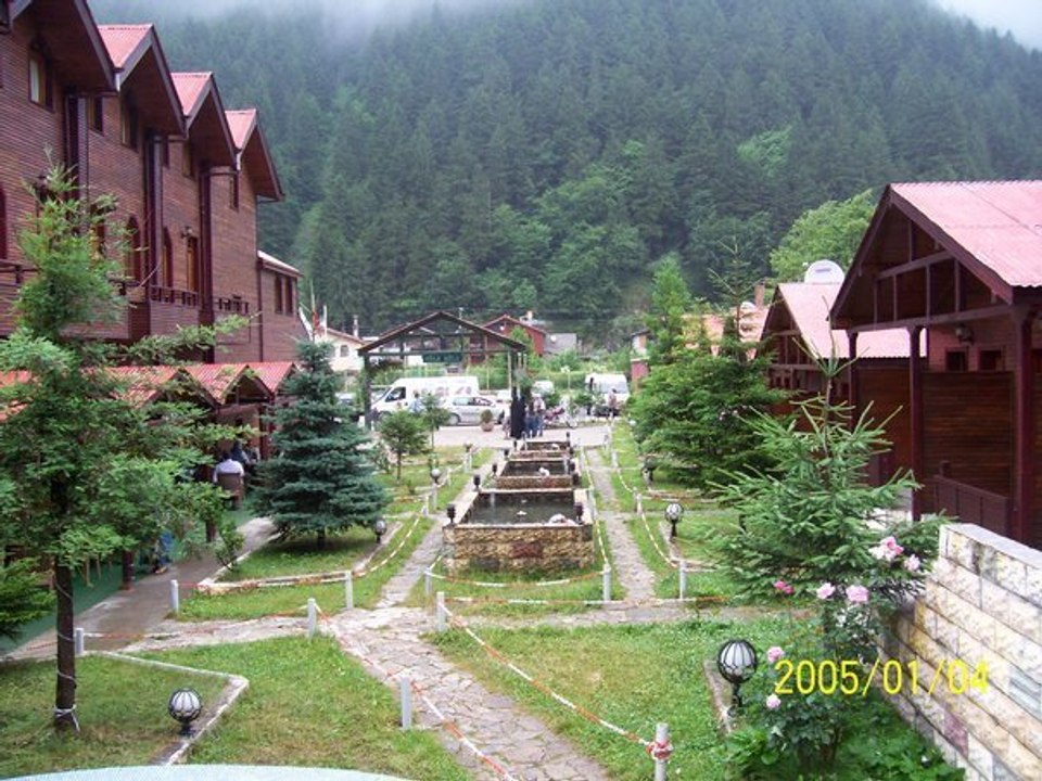 Mustafa Bektaş | Cerrahpaşa