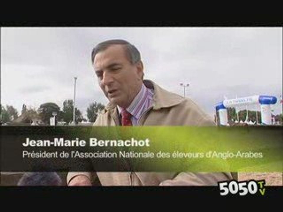 L'Anglo-arabe au Normandie Horse Show 09