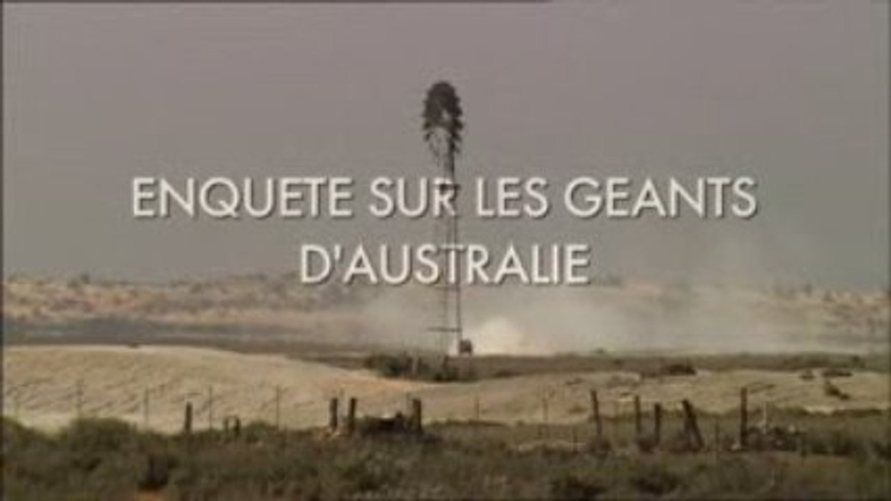 Disparition de la Mégafaune d'Australie -1_5
