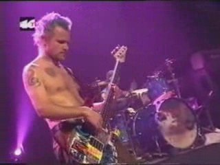 red hot chili peppers ı could die for you