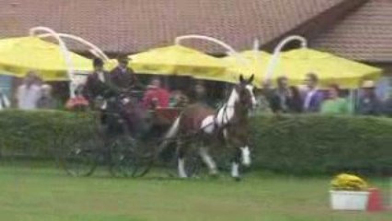 Maricourt MANIA
