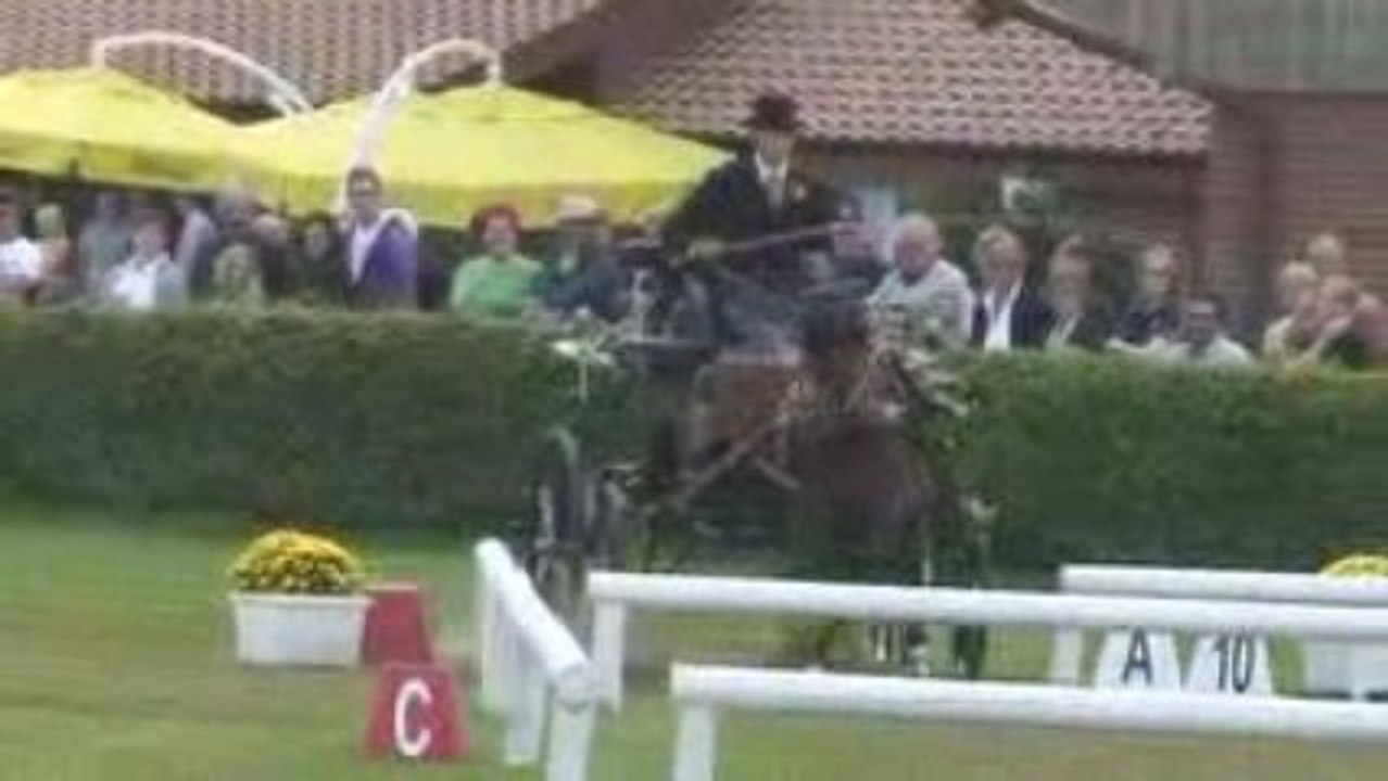 van kekem MANIA