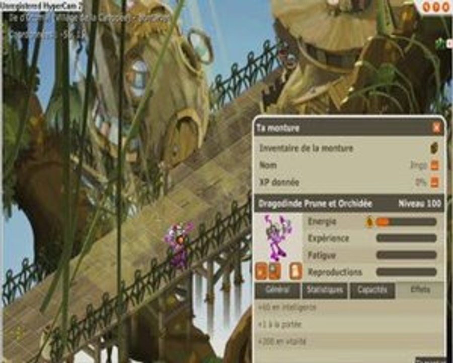 dofus Xélor feu