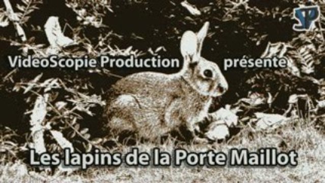 Les lapins de la Porte Maillot