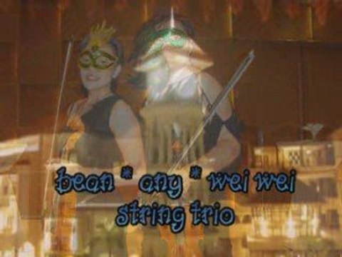 BEAN * ANY string duo, trio, quartet musicians for corporate