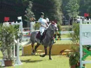 Ocean de Surtainville, Normandie Horse Show 2009