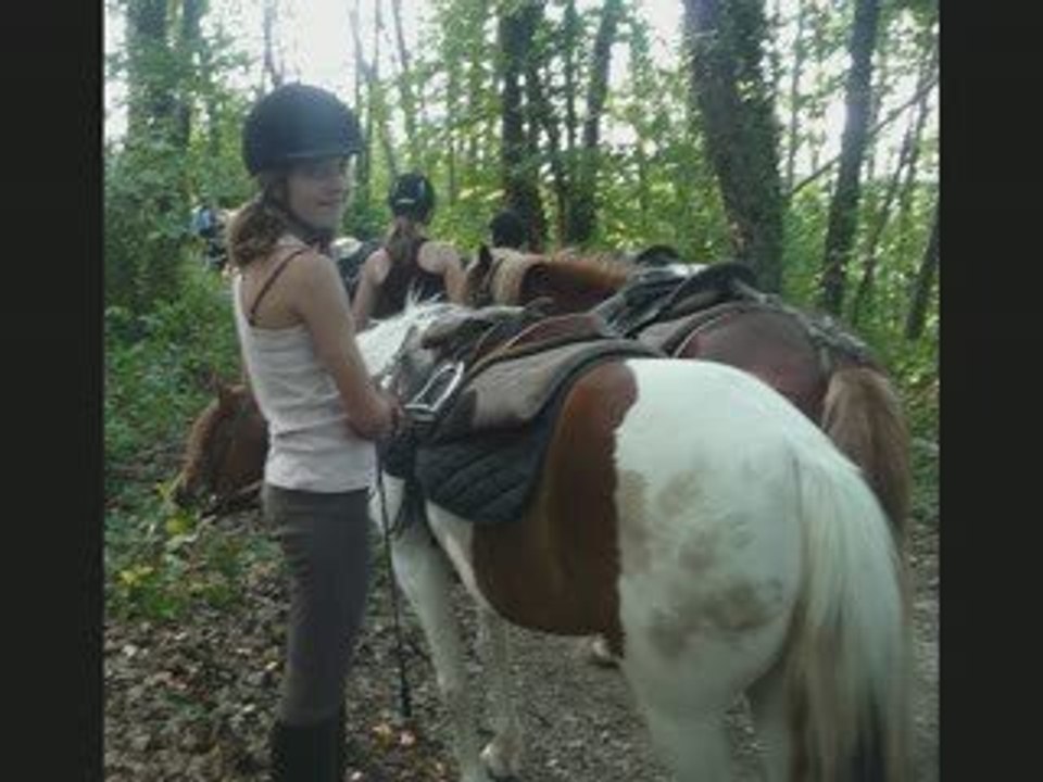 rando