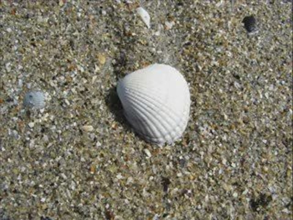 un "été" en Bretagne - saison 2009