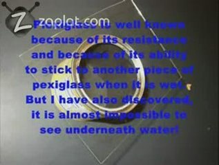 Suyun Üstünde Yürüyüş Görüntüleri