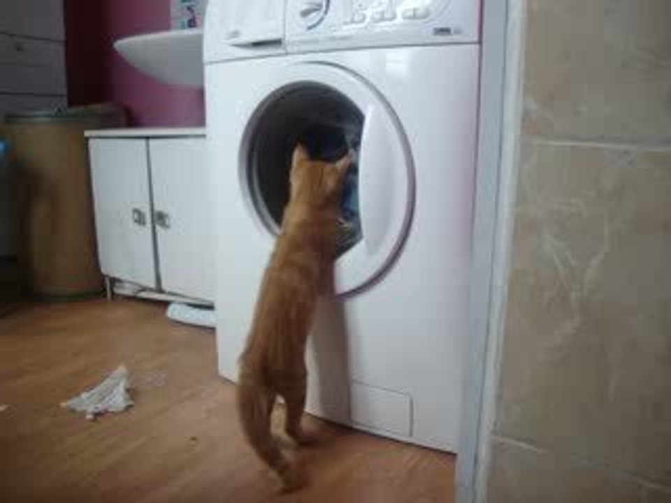 mickey machine a laver