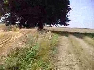 F800GS Test Offroad 2/3