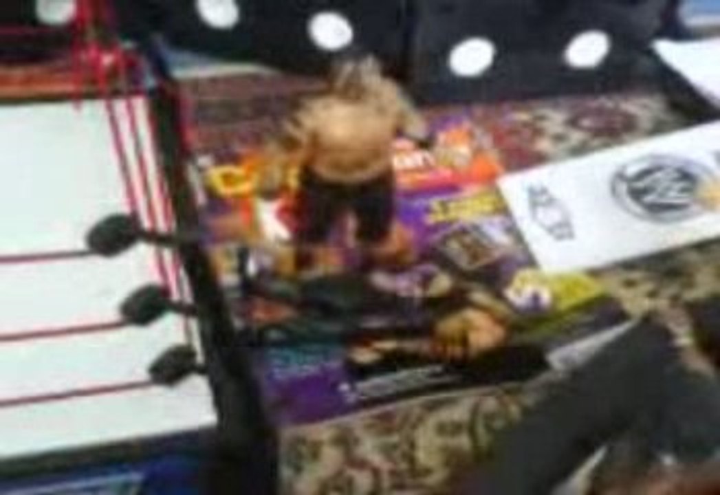 Jeff hardy vs umaga figurine de catch