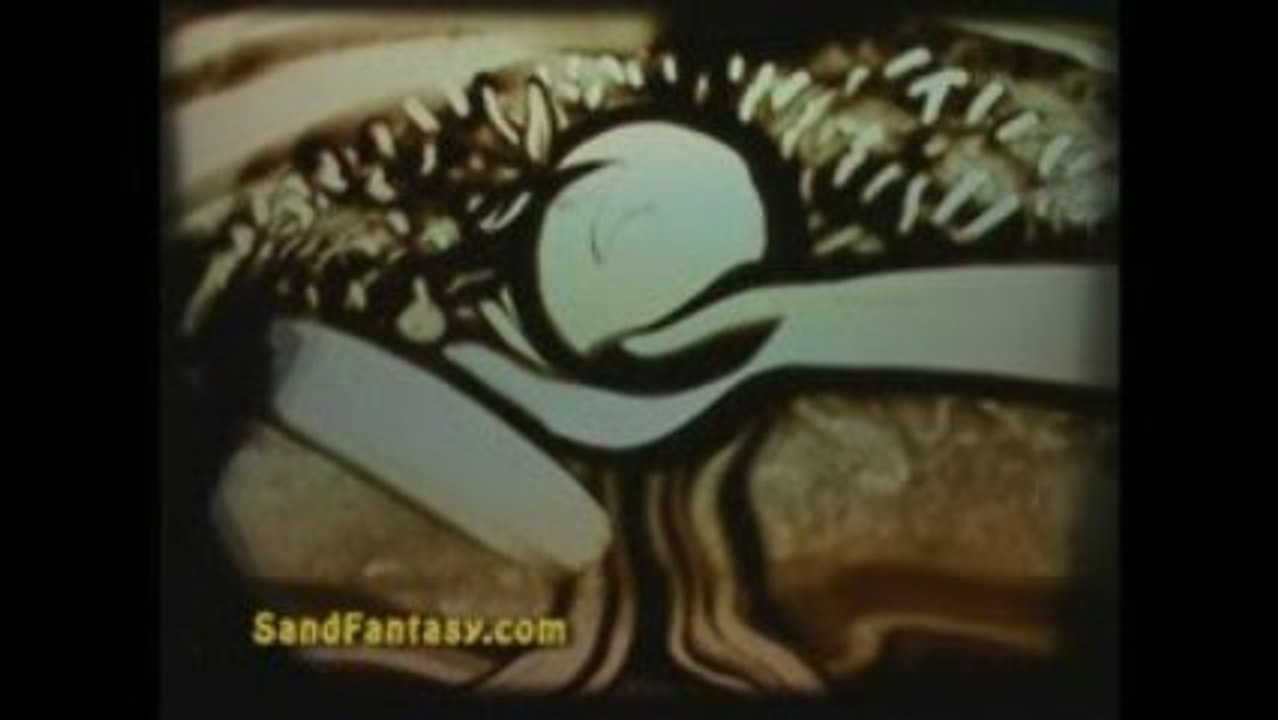 Animation sable pour Ilana Yahav