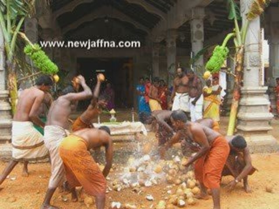 தேர்ர் திருவிழா photos விடியோ 2009