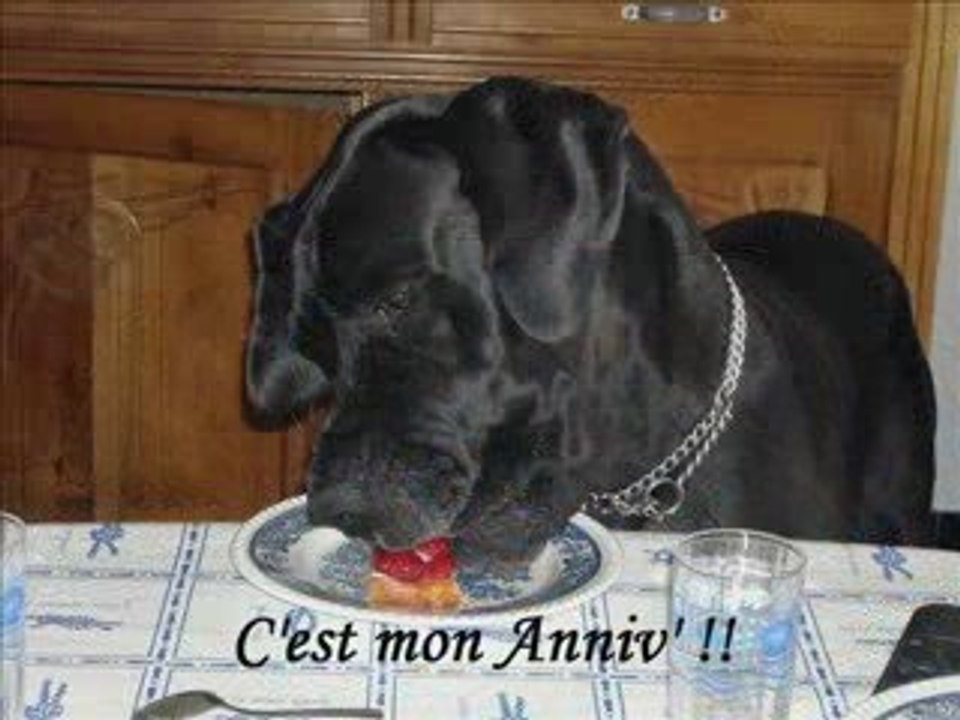 VENDEE2009