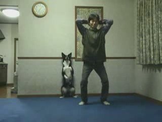 Chien fait de la gym