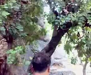 Antalaya Beşkonak Köprülü Kanyon