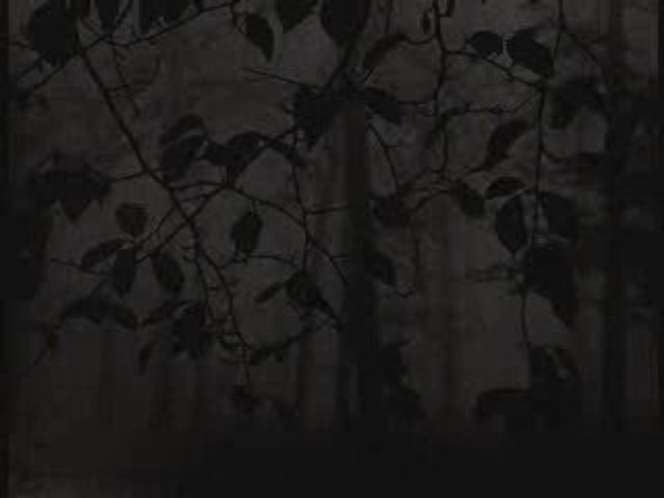 Rose McDowall - Afraid