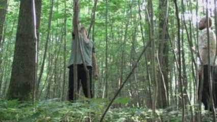 Brothers Of End - What's Wrong With That