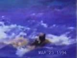 MUST SEE - Lady gets attacked by a great white shark, versus