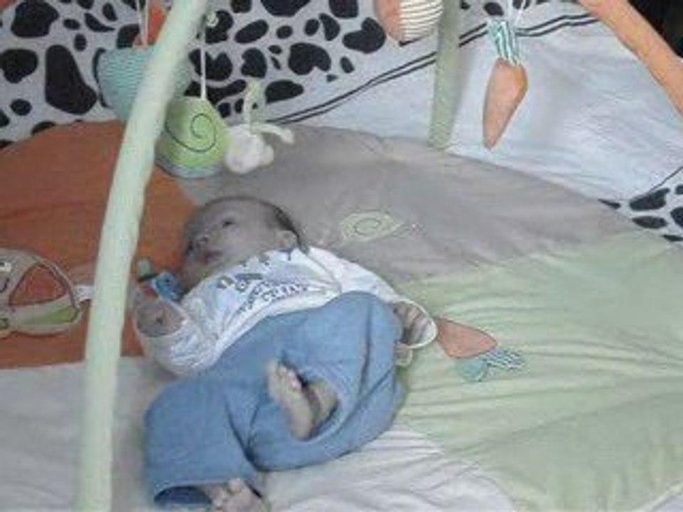 Lehyan futur Kung Fu  master