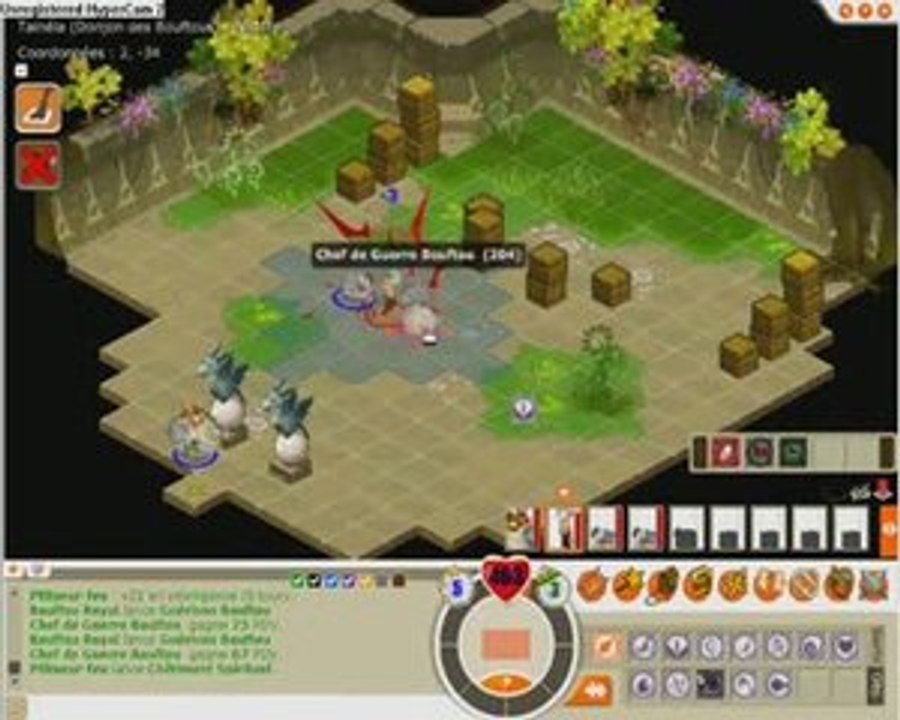 dofus DJ bouf au lvl 37