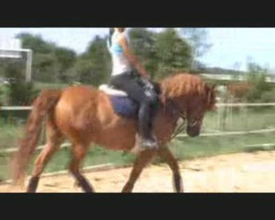 reprise dressage madison