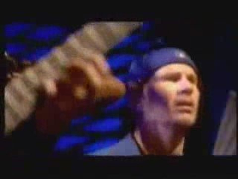 red hot chili peppers  califonication(( by sefa döner))