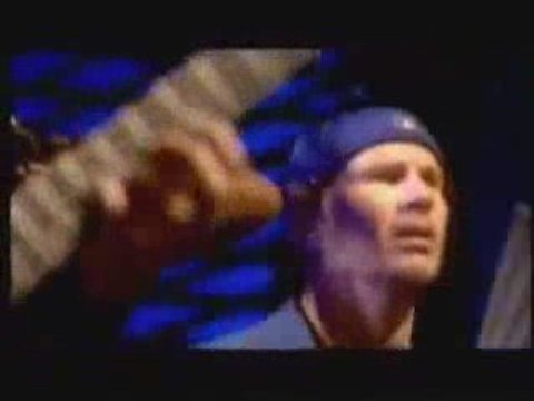 red hot chili peppers califonication(( by sefa döner))