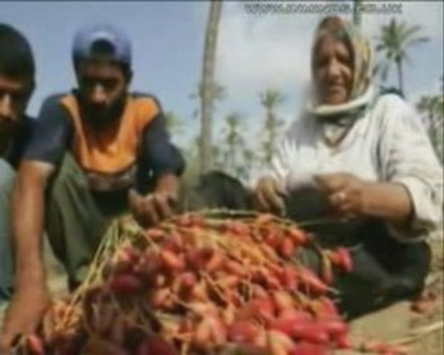 Dattes israéliennes pour le Ramadan ? Certainement pas !