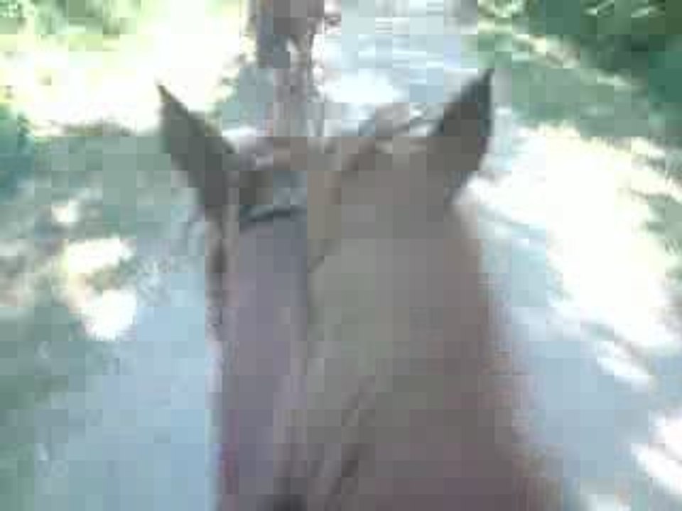 Odysée En TrOting