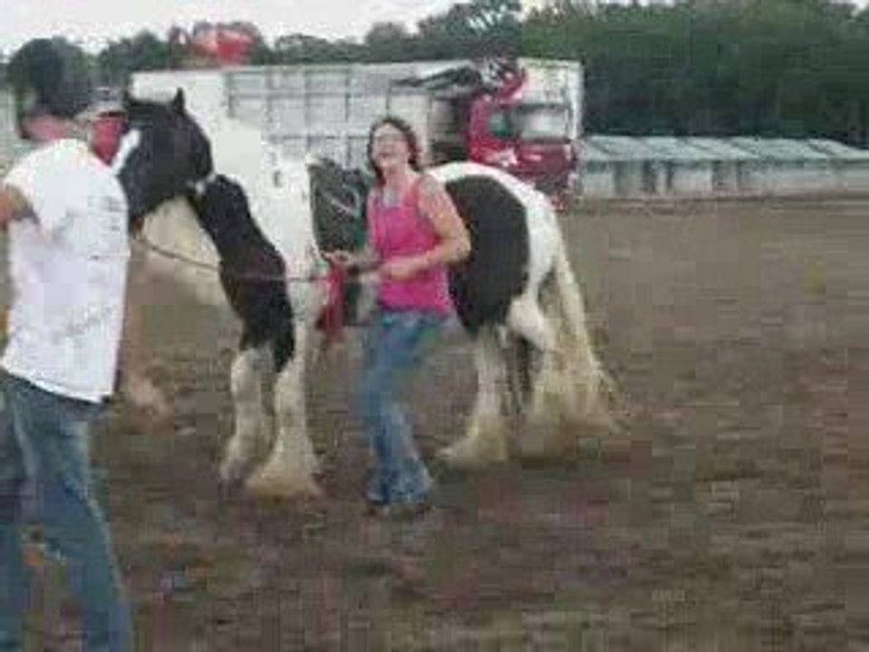 Lamotte 2009 Equifeel