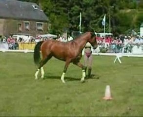 démo habay partie a pied