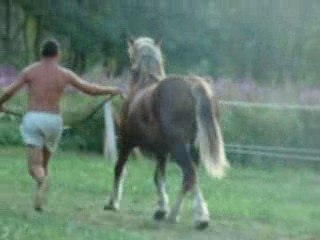 uria, premiere simulation de concours