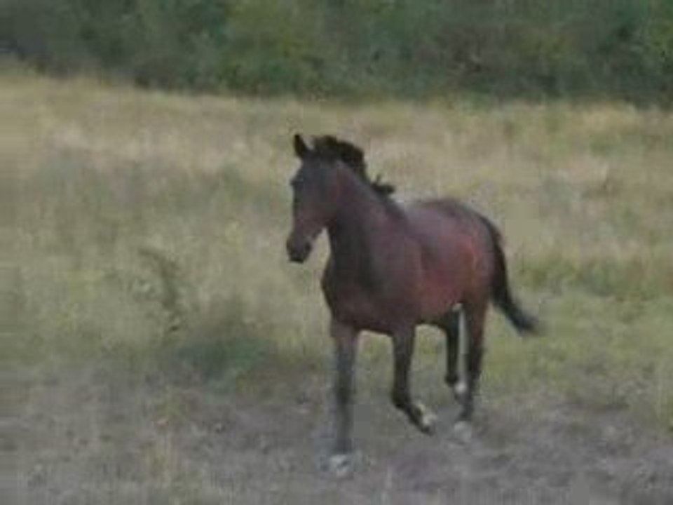 Quentin il est trop mimi