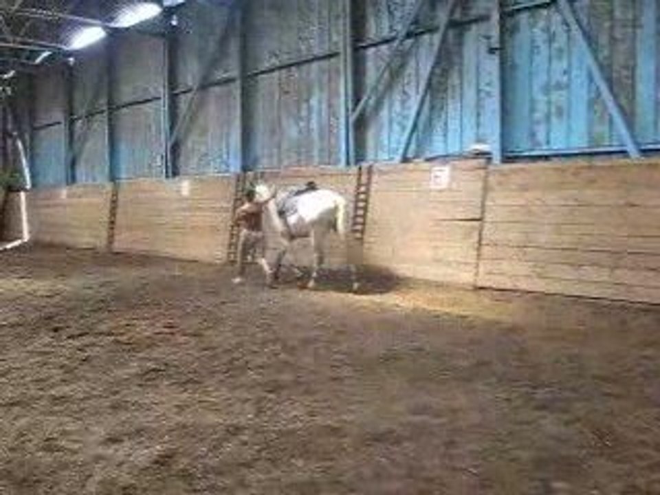 Start up débourrage lundi 13 aout 2009