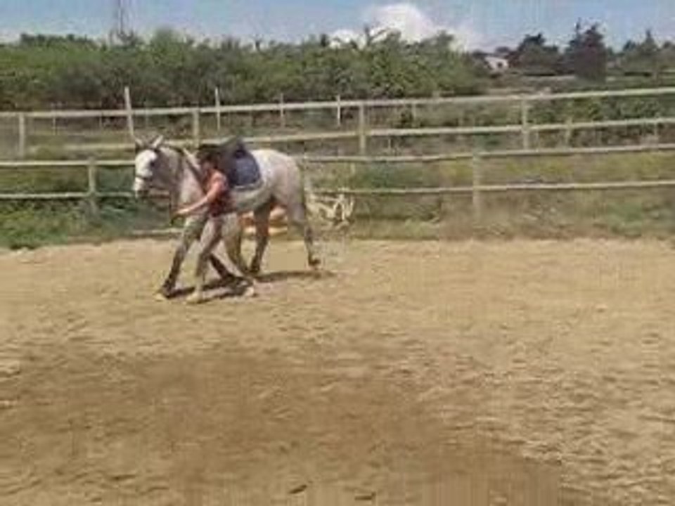 Start up débourrage lundi 13 aout 2009