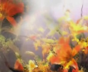 Bartek Wrona-Nie wiem gdzie