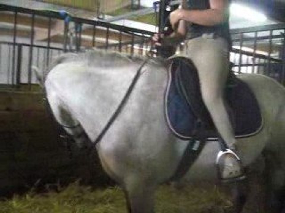 Start up débourrage lundi 13 aout 2009