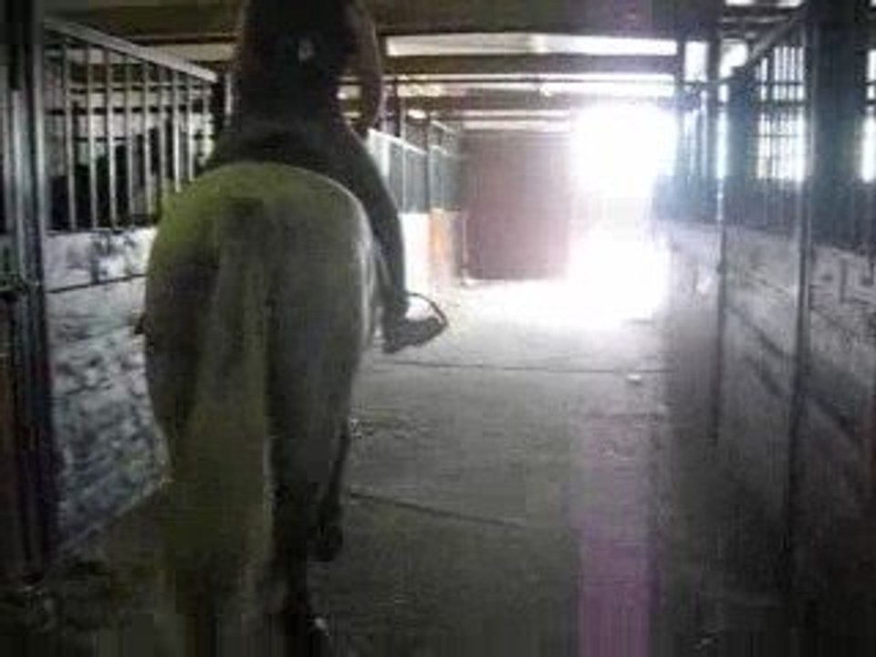 Start up débourrage lundi 13 aout 2009