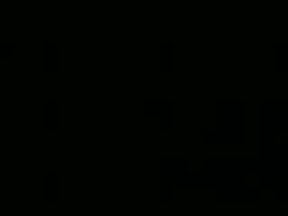 video$$ 005