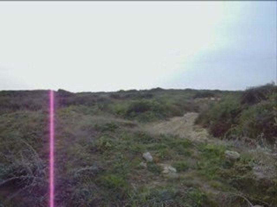 La rayure rose